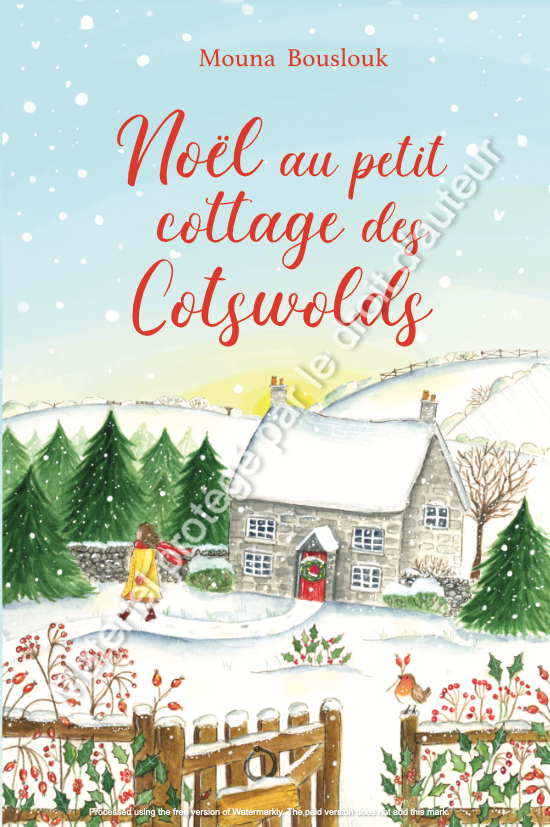 Livre relié Noël au petit cottage des Cotswolds